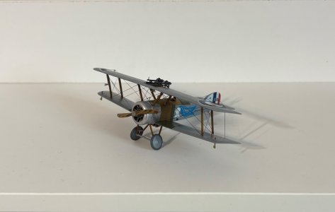 IMG_9690.jpeg