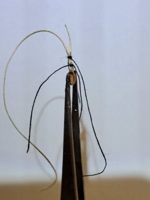 20250902_162936.jpg
