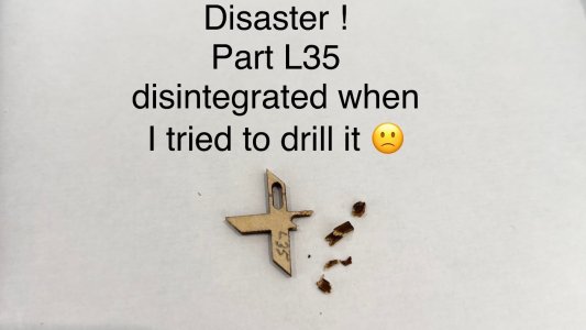 IMG_3195.jpeg