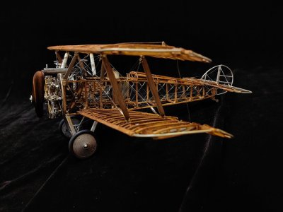 IMG_20250910_010822.jpg