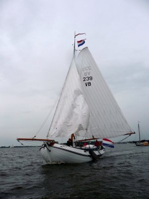 Lemsteraak.jpg