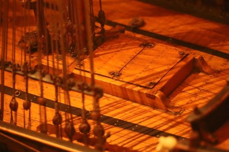 IMG_7647.JPG