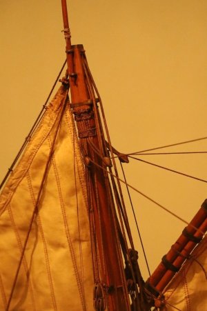 IMG_7655.JPG