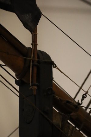 IMG_8085.JPG