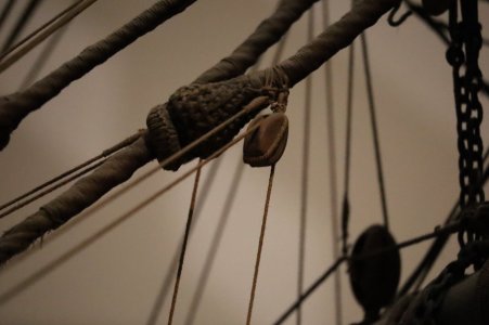 IMG_8097.JPG