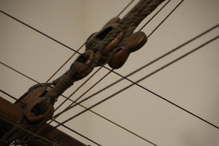IMG_8101.JPG