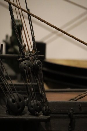 IMG_8102.JPG