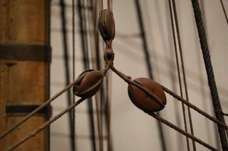 IMG_8108.JPG