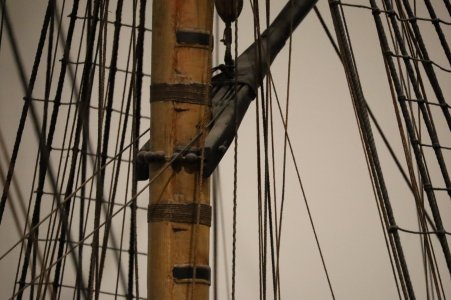 IMG_8110.JPG