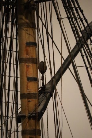 IMG_8111.JPG