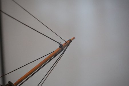 IMG_8314.JPG
