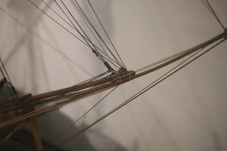 IMG_8284.JPG