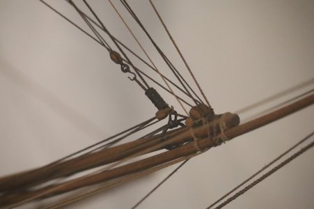 IMG_8285.JPG