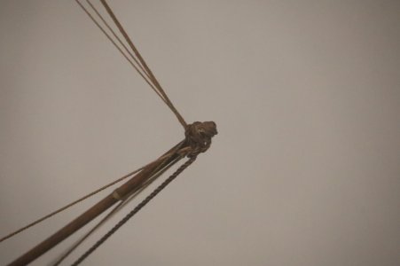 IMG_8286.JPG