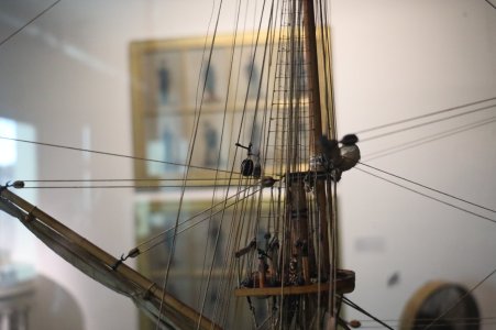 IMG_8200.JPG
