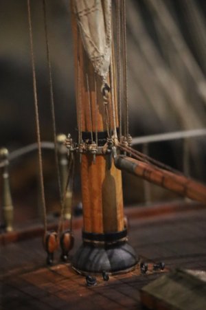 IMG_8236.JPG