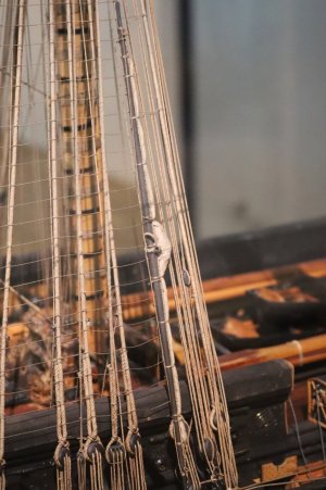 IMG_8243.JPG