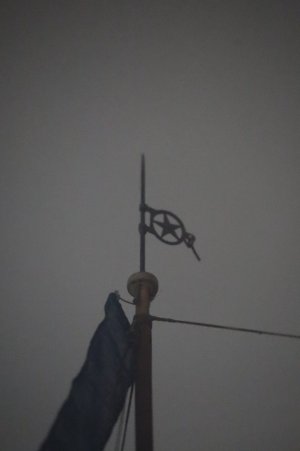 IMG_8260.JPG