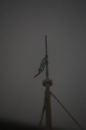 IMG_8261.JPG