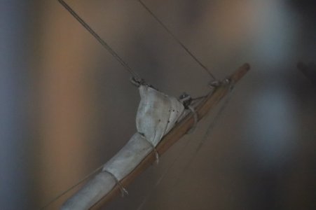 IMG_8267.JPG
