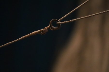 IMG_8134.JPG