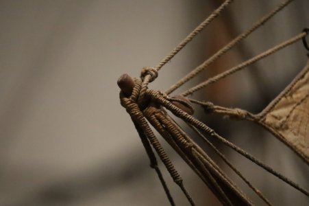 IMG_8146.JPG