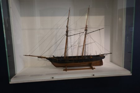 IMG_8364.JPG