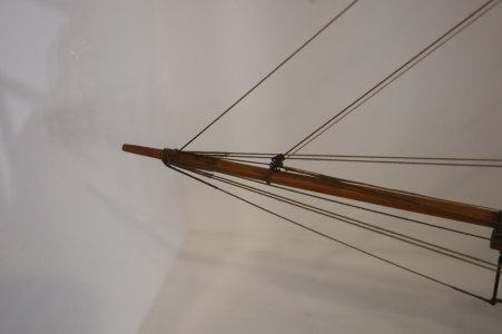IMG_8368.JPG