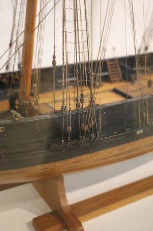 IMG_8371.JPG