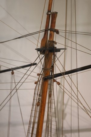 IMG_8381.JPG