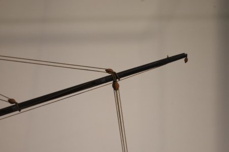 IMG_8383.JPG