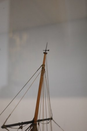 IMG_8385.JPG