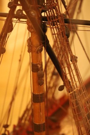 IMG_7584.JPG
