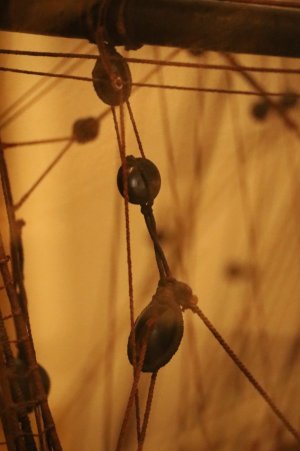 IMG_7601.JPG