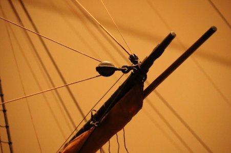 IMG_7469.JPG