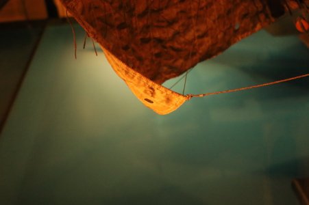 IMG_7640.JPG