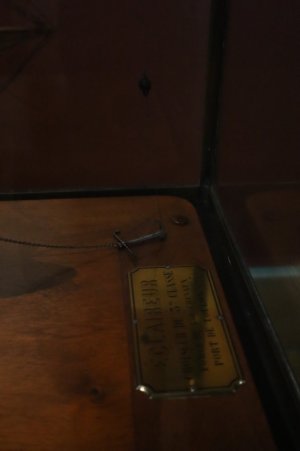 IMG_8351.JPG