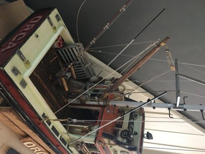 IMG_6602.jpeg IMG_6602.jpeg