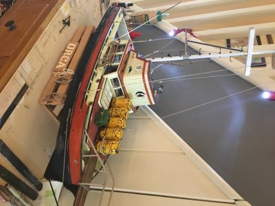 IMG_6494.jpeg IMG_6494.jpeg