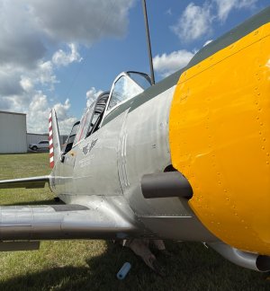 IMG_0151.jpeg
