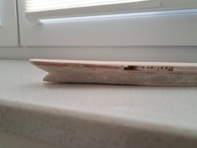 20250923_084753.jpg
