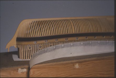 roebuck20c.jpg