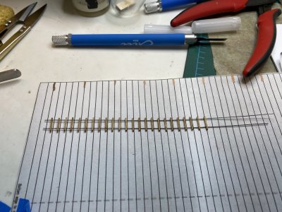 IMG_1117.jpeg