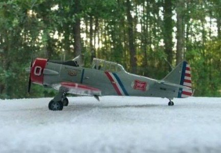 T6.jpg