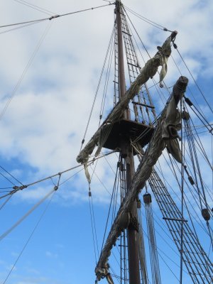 IMG_6450.JPG IMG_6450.JPG