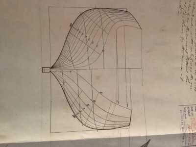 IMG_1010.jpeg