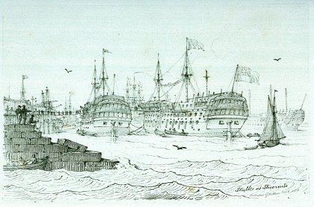 Hulks_at_Sheerness_RMG_PU7884.jpg