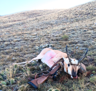 antelope.png antelope.png