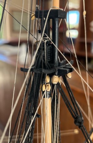 IMG_2047.jpeg