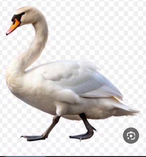 Screenshot_20251010_100614_Google.jpg